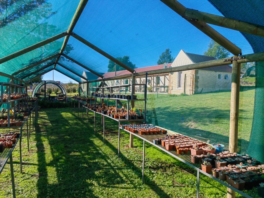 6 Bedroom Property for Sale in Joubertina Eastern Cape